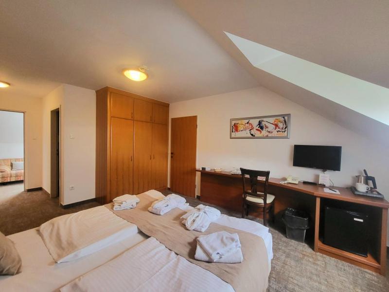 Zenit Wellness Hotel Balaton Vonyarcvashegy Zewnętrze zdjęcie