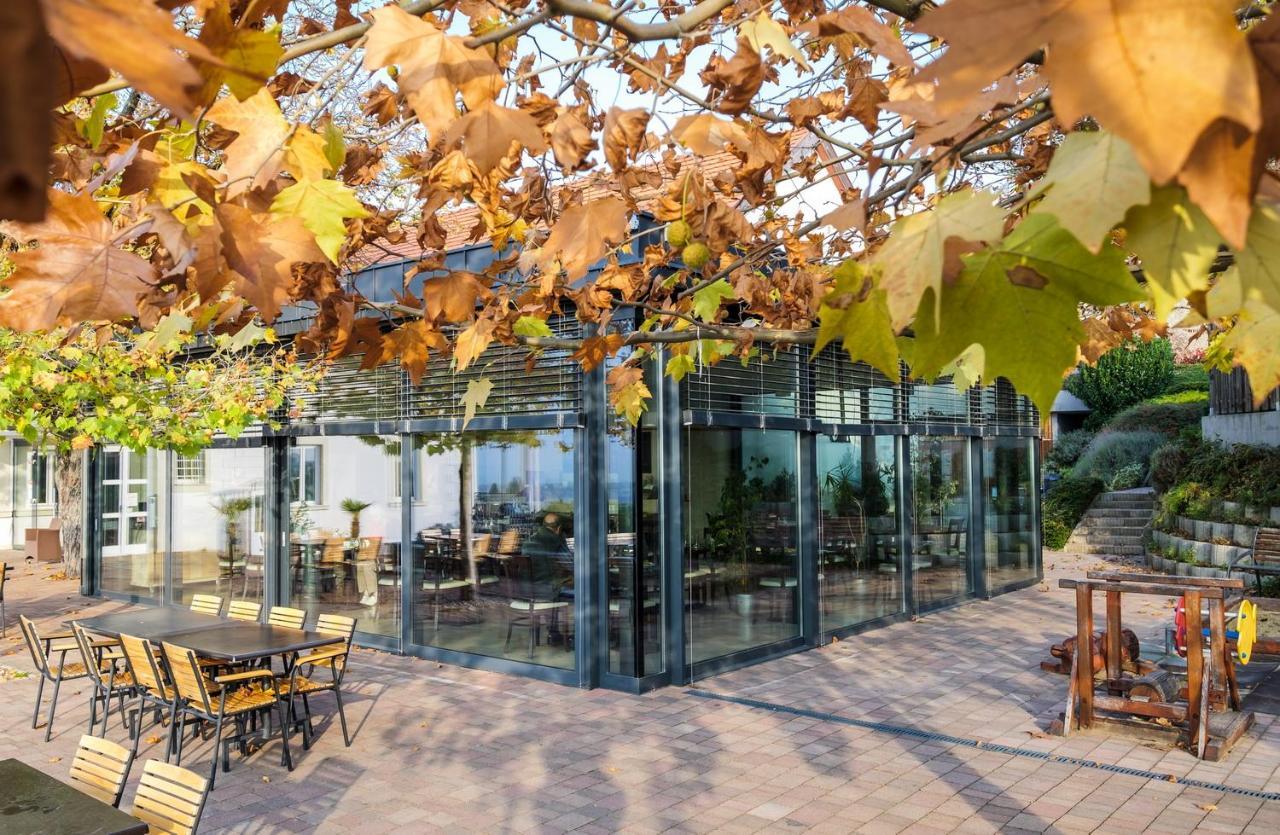 Zenit Wellness Hotel Balaton Vonyarcvashegy Zewnętrze zdjęcie